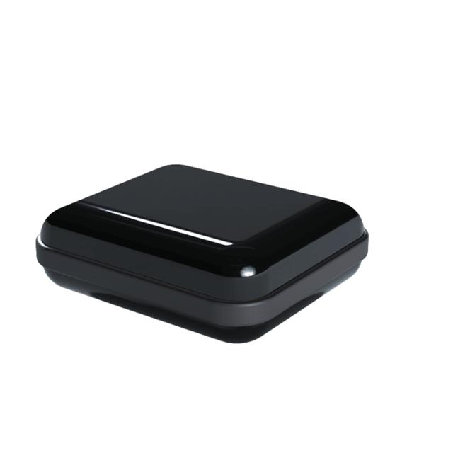 CX21ABKAGM Serpac  Boxen